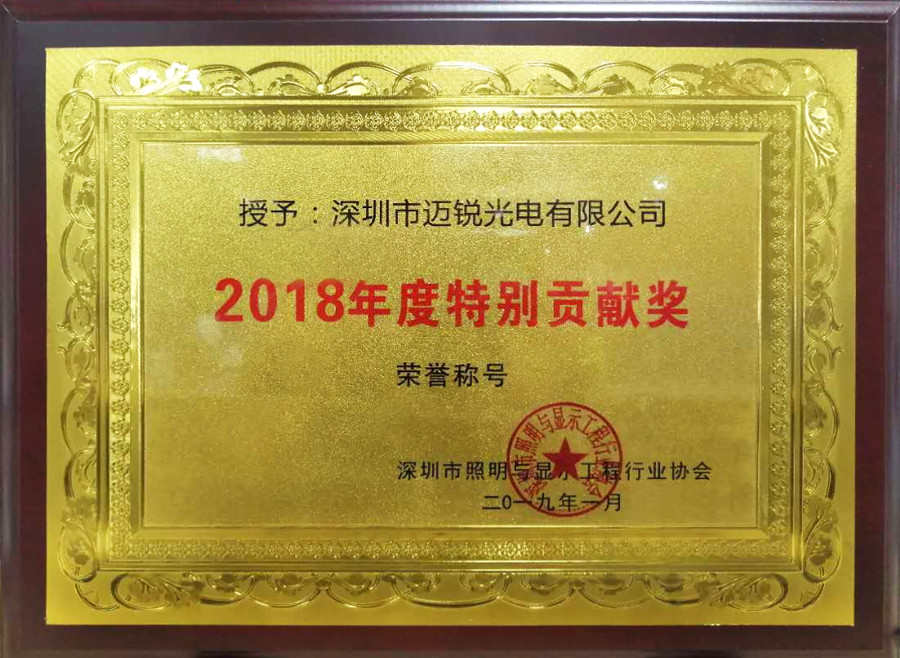 zoty中欧光电喜获“2018年度特别贡献奖”.jpg